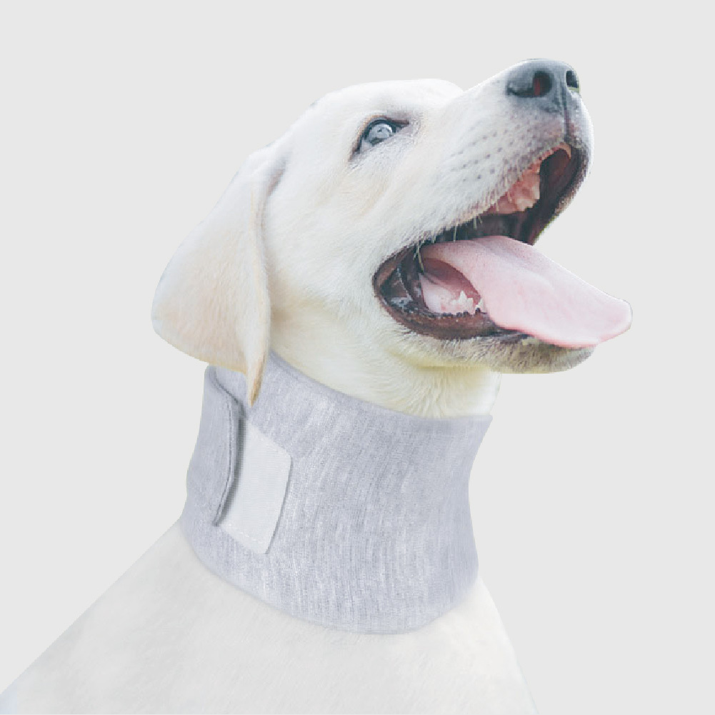 寵物用品｜犬用術後護頸脖圈