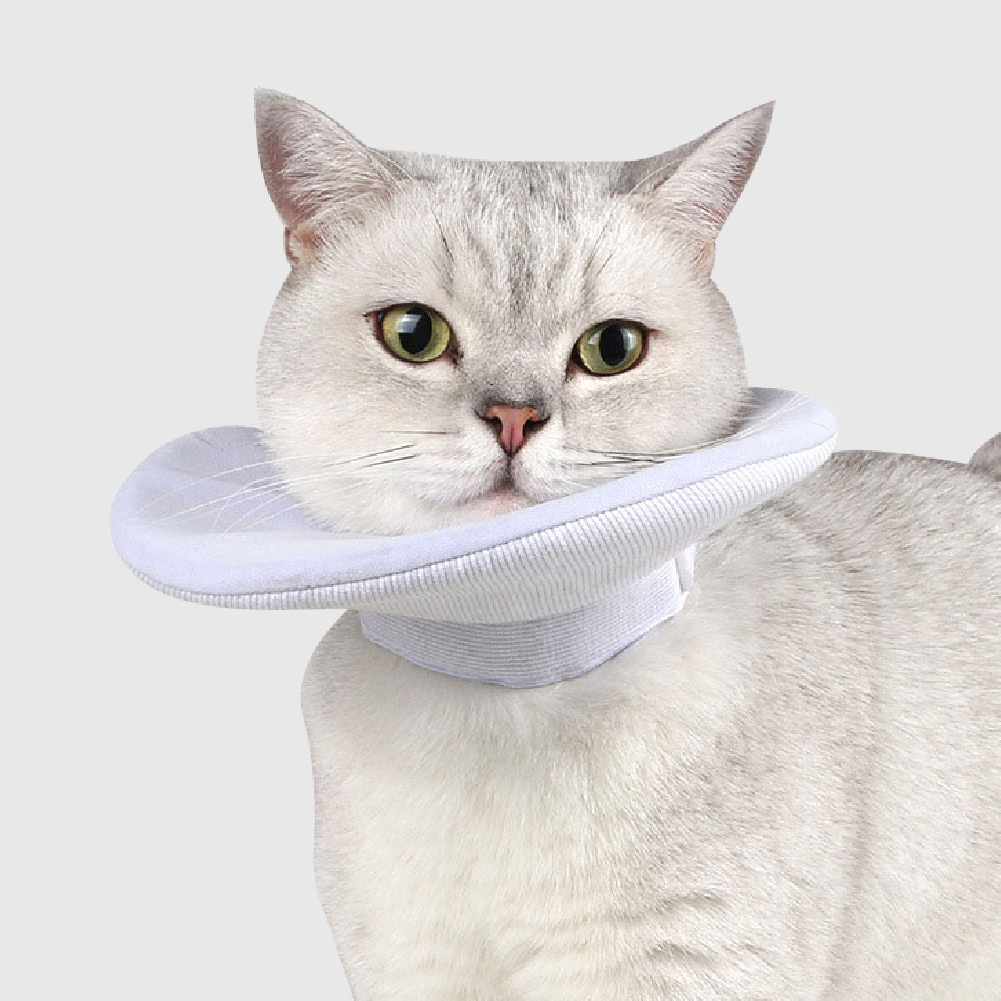 寵物用品｜貓咪防舔咬脖圈