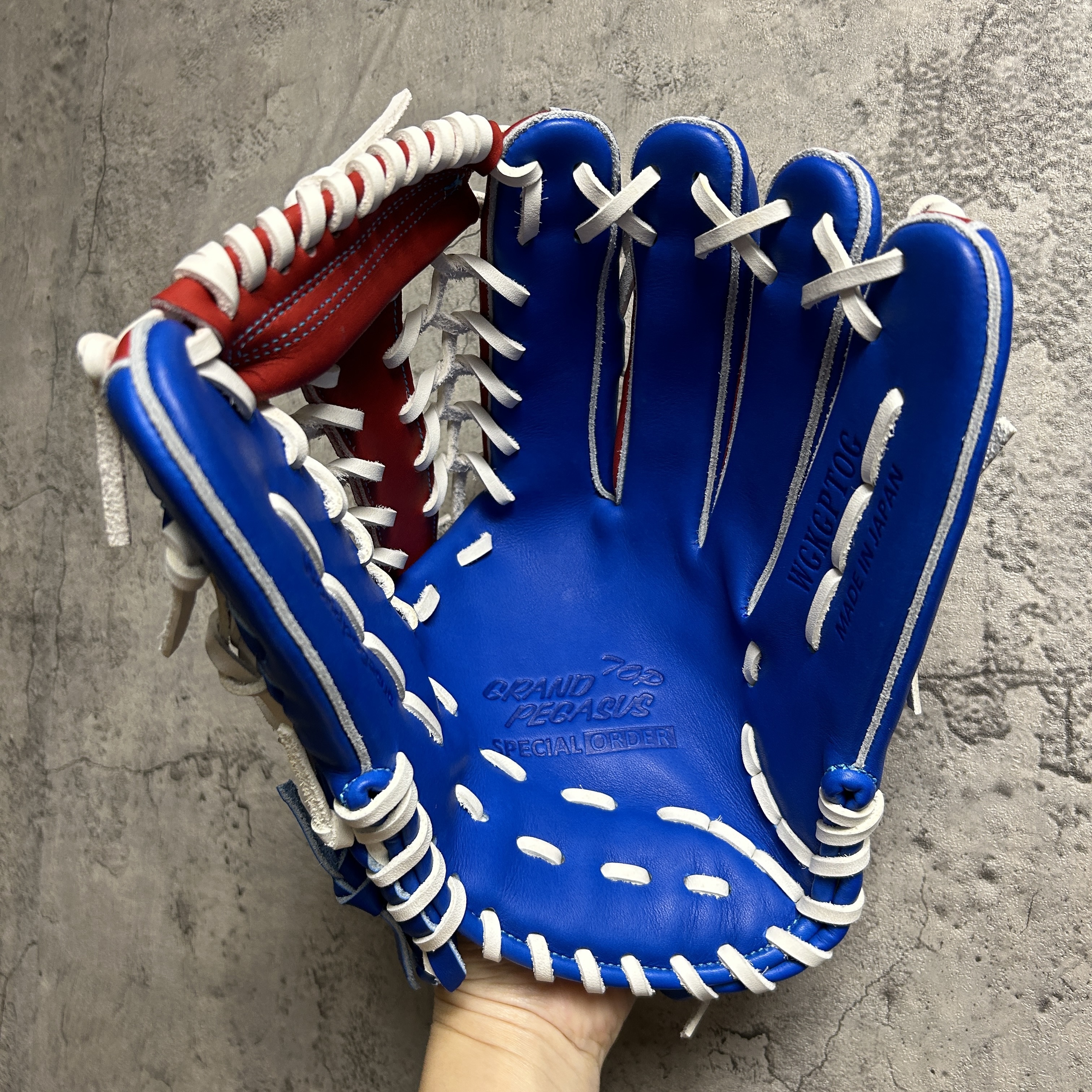 【照片分享】world-pegasus 硬式 外野手用 WGK5GPUT92