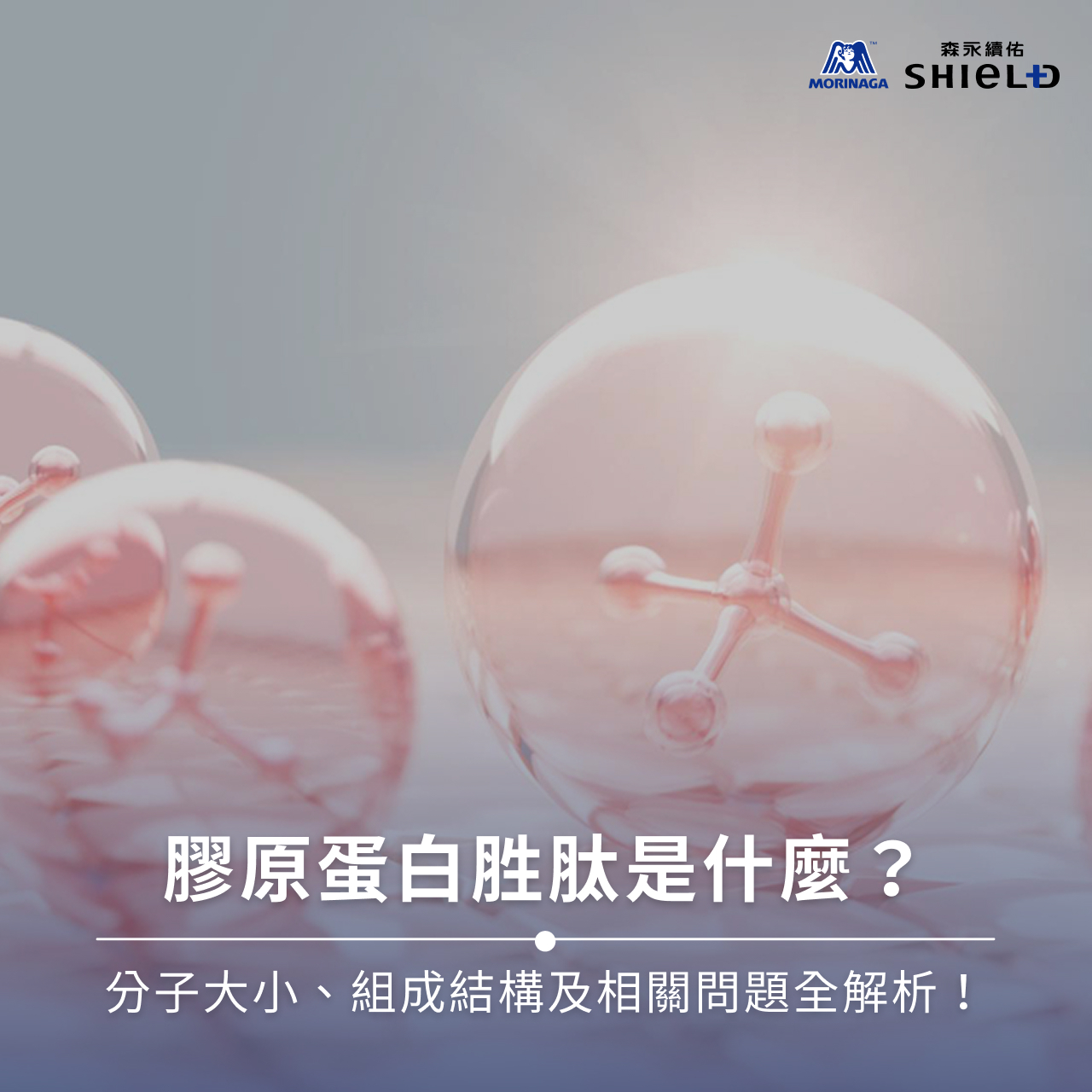 膠原蛋白胜肽是什麼？分子大小、組成結構及相關問題全解析！
