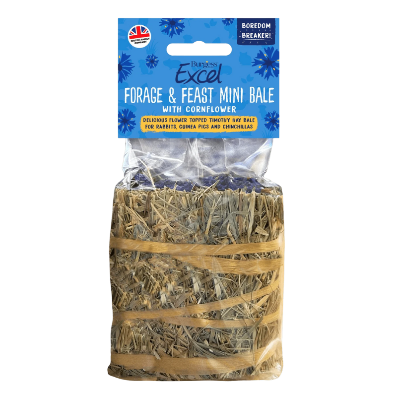 Burgess Excel 迷你草捆 (矢車菊) - 100g