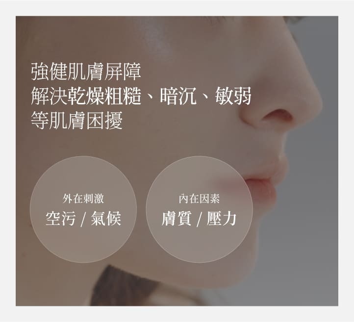 強健肌膚屏障解決乾燥粗糙、暗沉、敏弱等肌膚困擾
