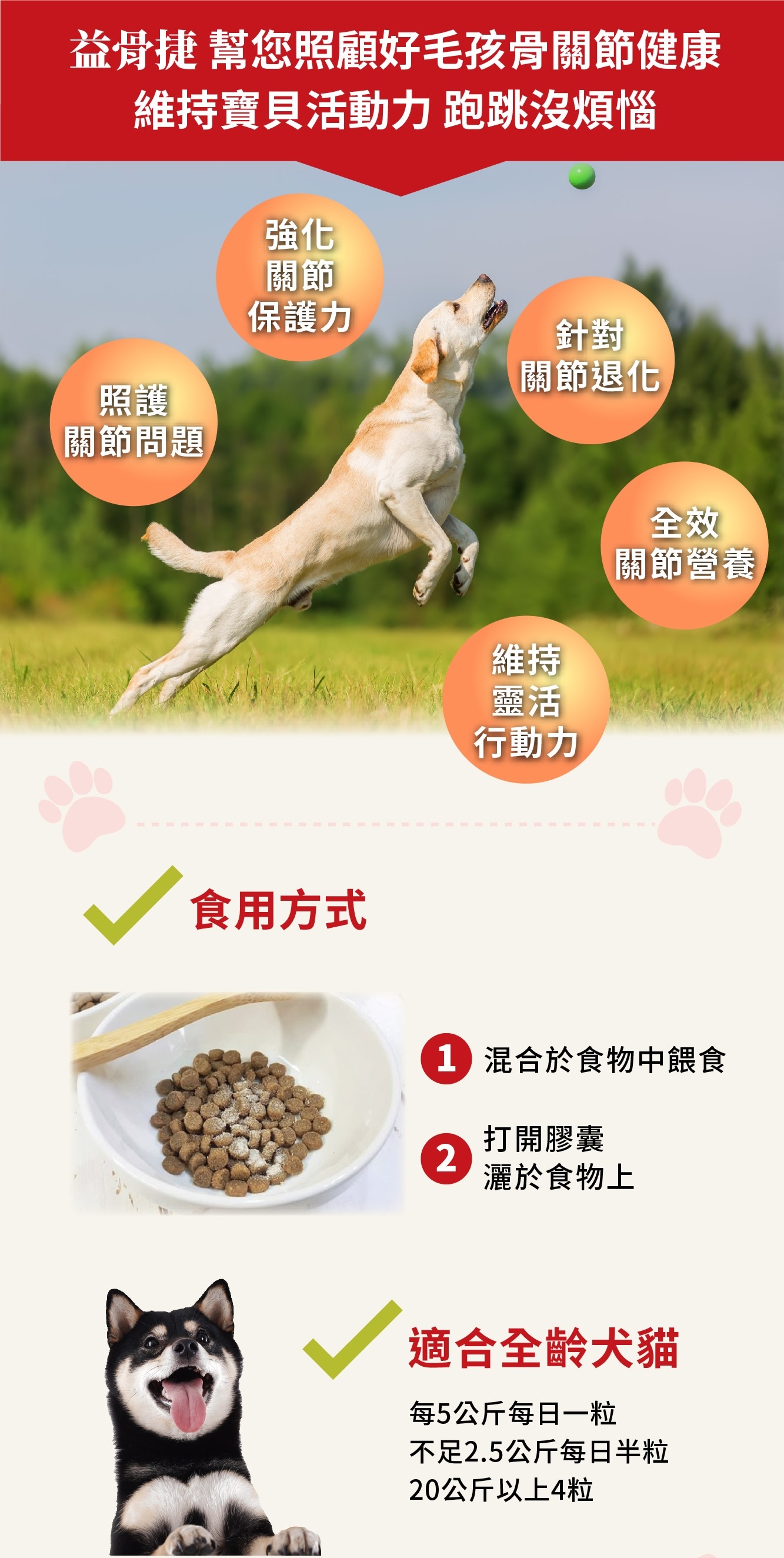 PS BUBU 益骨捷通過SGS檢驗，適合全齡犬貓，改善活動不良、上下樓困難