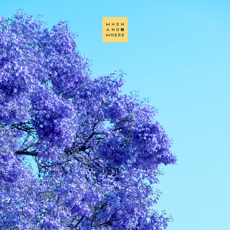 WAW何時何地｜沙龍香水 - 藍花楹廊30ml