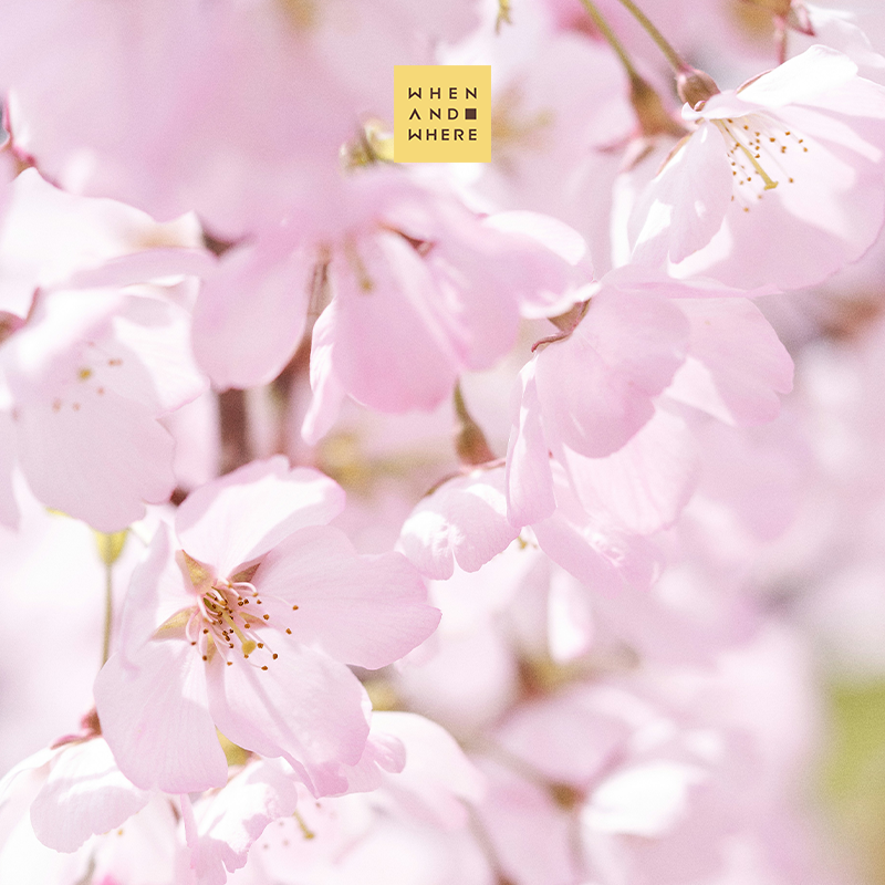 WAW何時何地｜沙龍香水 - 晴川落櫻30ml