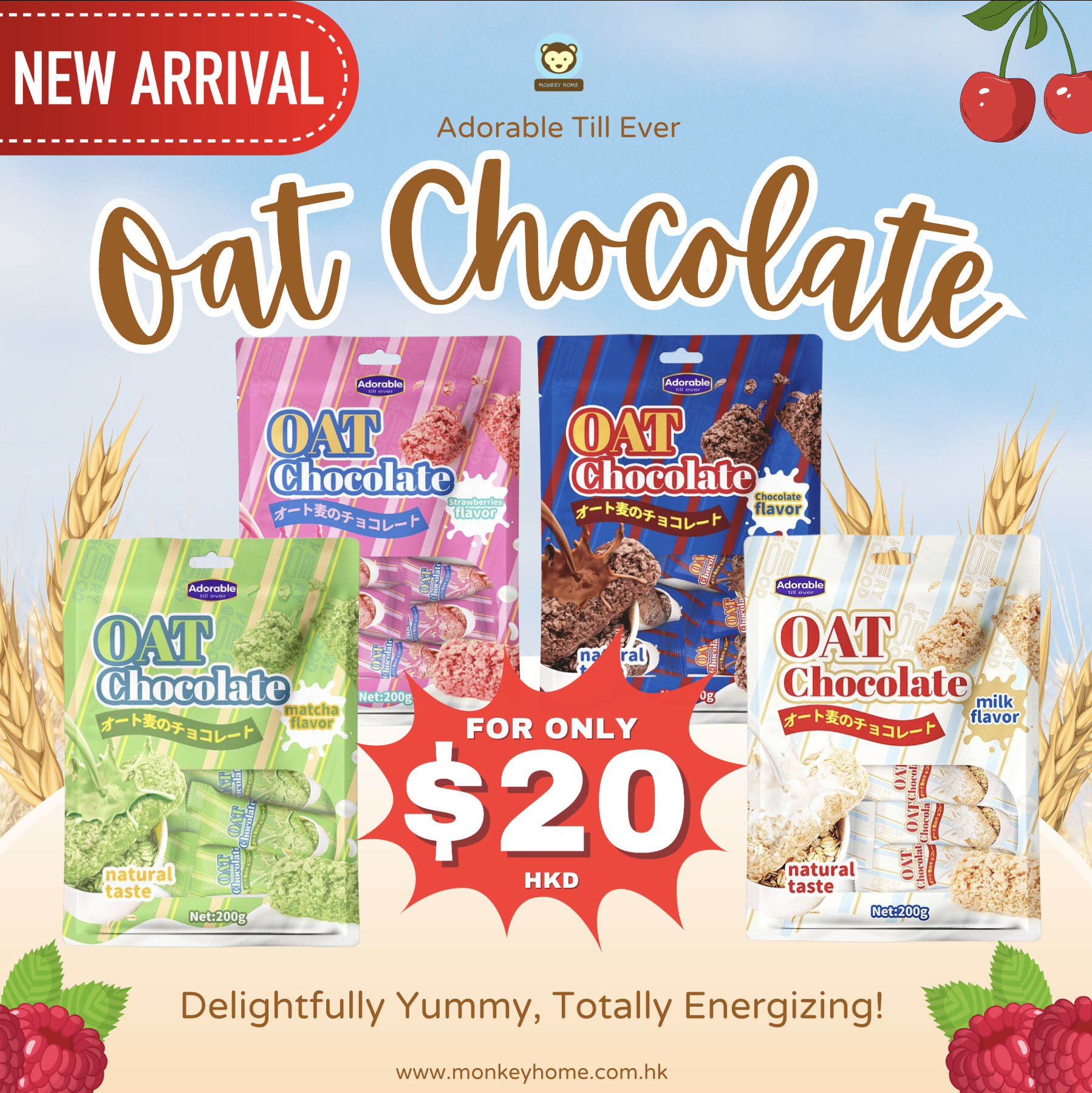 Oat Chocolates 200g