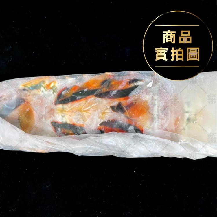 5oz大尾規格無頭龍蝦尾