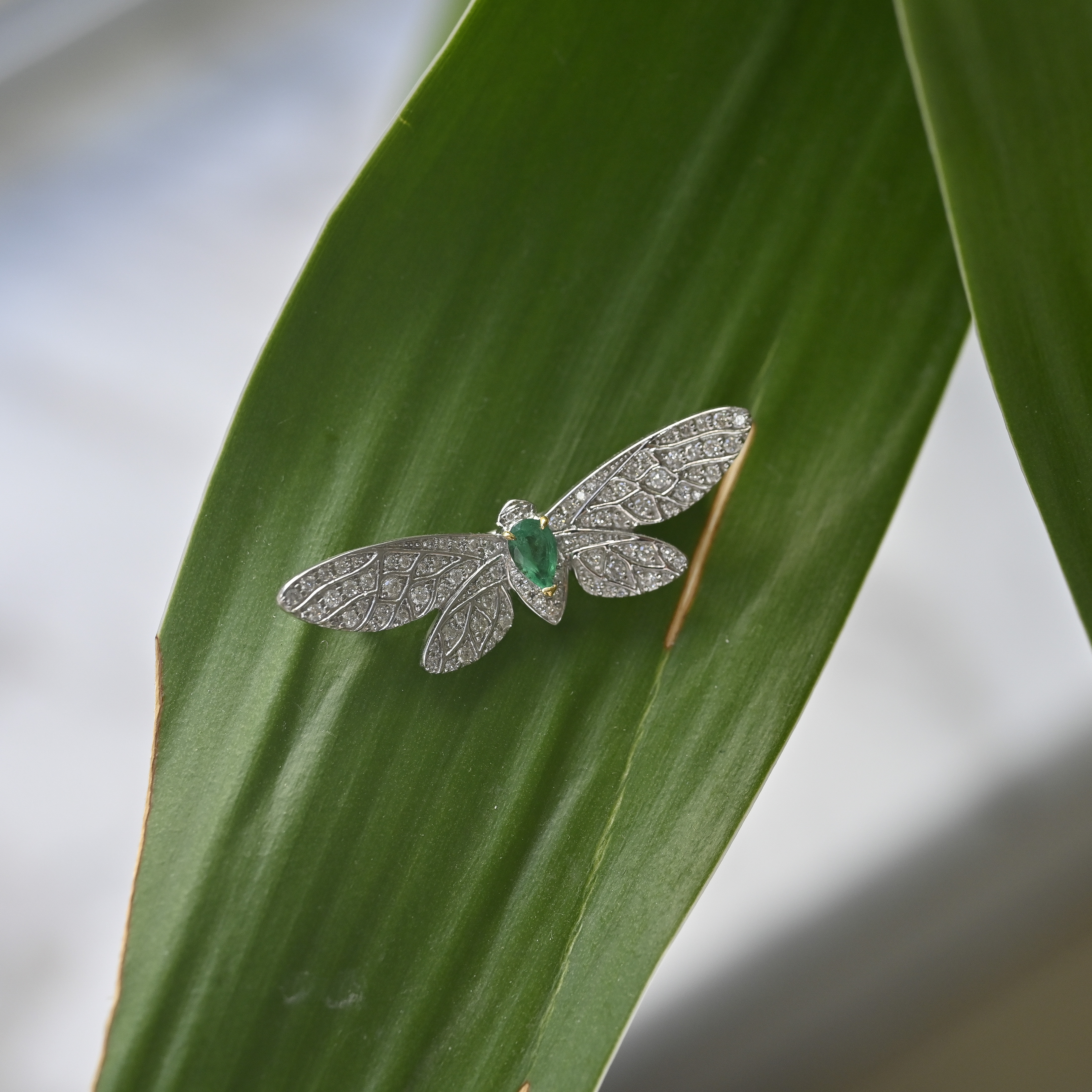 18K Dragonfly Diamond Brooch