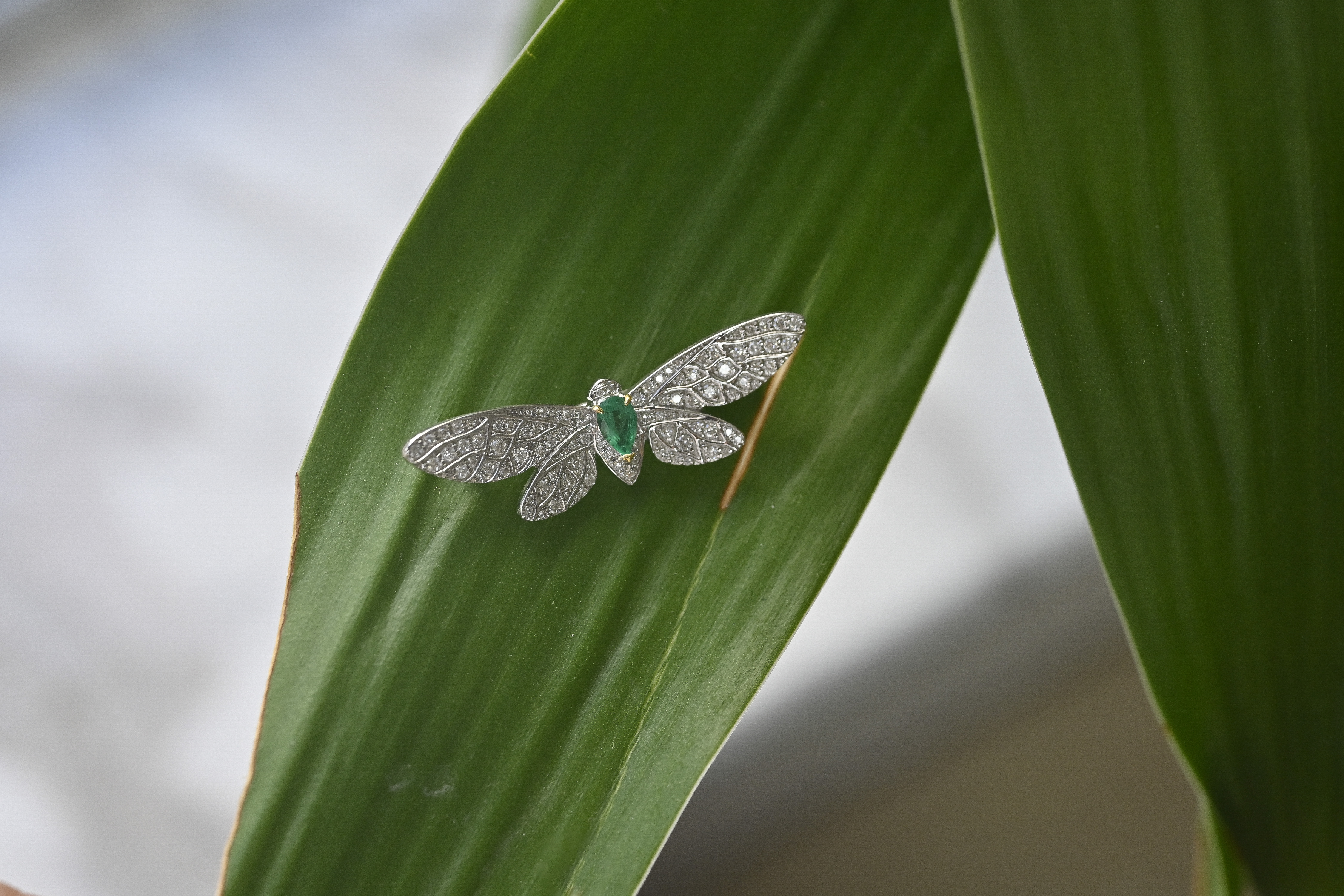 18K Dragonfly Diamond Brooch