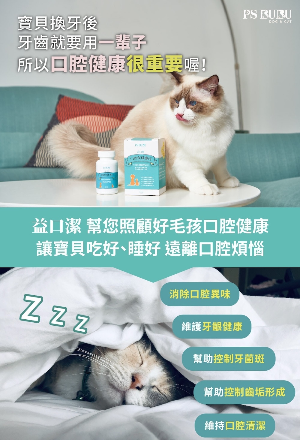 貓咪口腔保健從換牙開始，PS BUBU 益口潔每天一錠，有效幫助維護牙齒與牙齦健康，遠離口臭與牙菌斑，讓毛孩吃好睡好一輩子都安心。