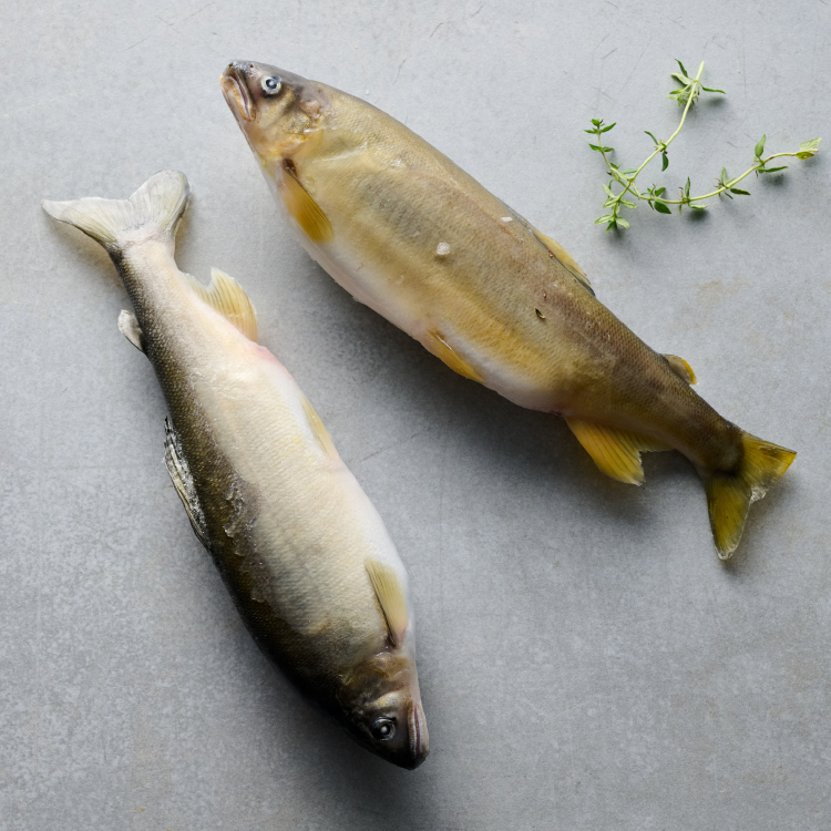 鮮魚-爆卵母香魚 360g