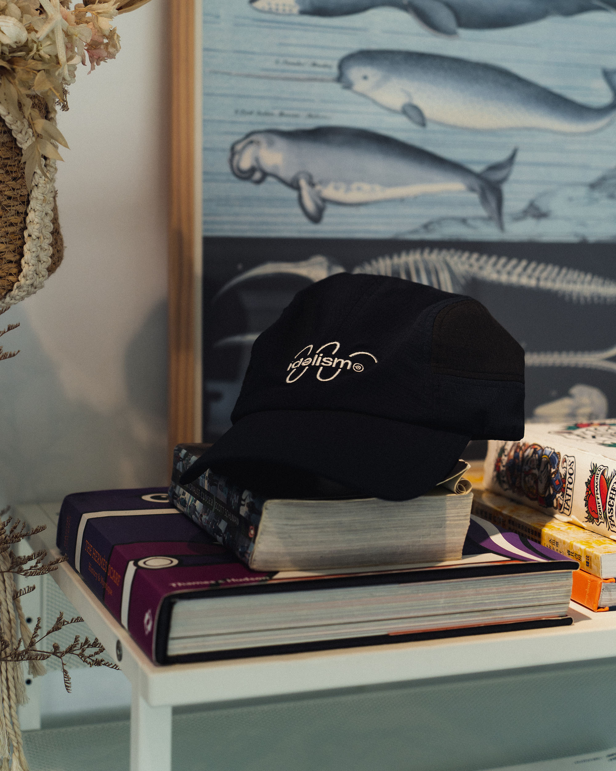 idealism IDE WHALe Cap【ID25996】