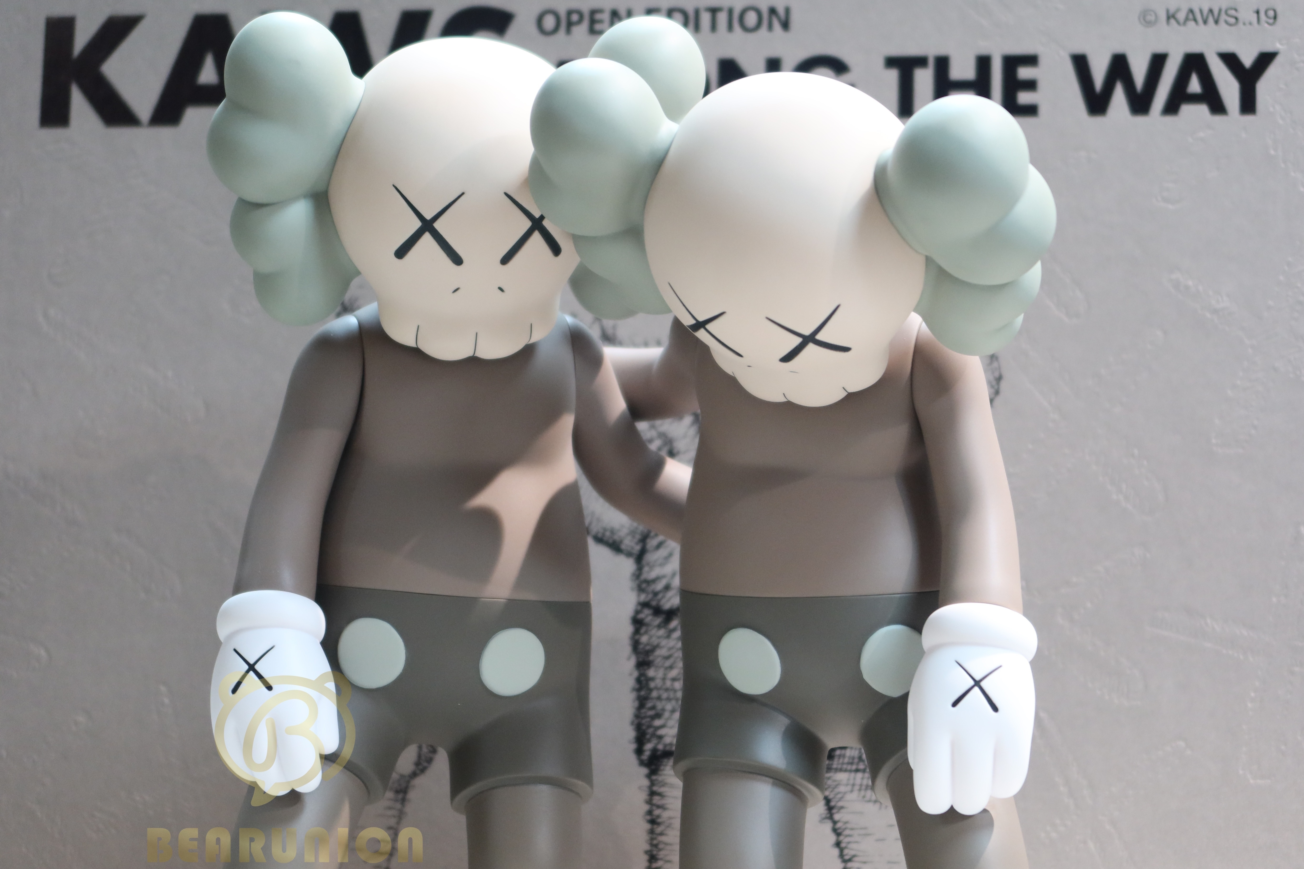 🥇現貨🥇KAWS Along The Way Vinyl Figure BROWN