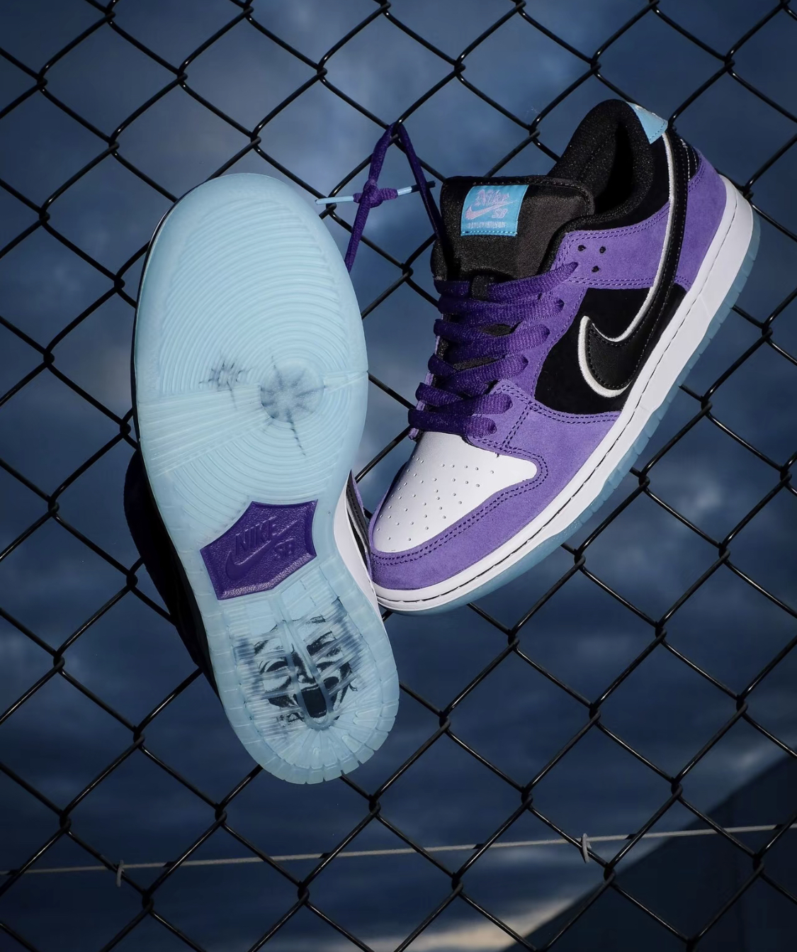 【APAIR】預購 Hayley Wilson x Nike Dunk Low SB 澳洲滑板手 聯名 白紫黑 滑板鞋 HJ0513-500