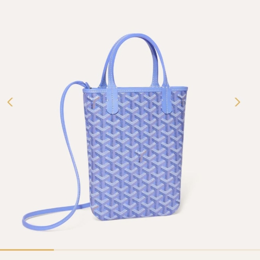 Goyard Poitiers PM Bag