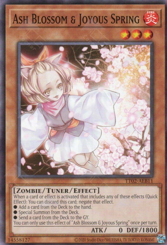 TT02-AEB11 Ash Blossom & Joyous Spring (N)