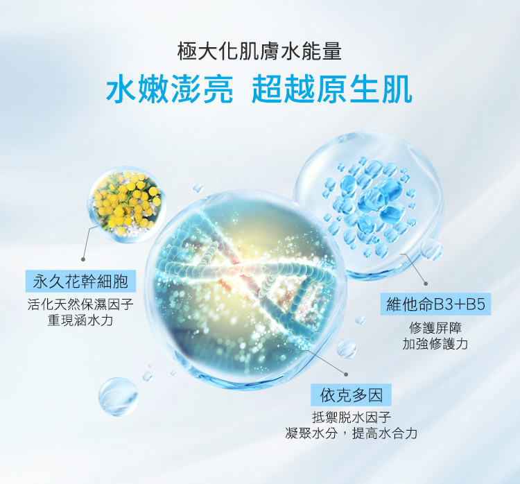 極大化肌膚水能量,水嫩澎亮超越原生肌,永久花幹細胞:活化天然保濕因子,重現涵水力。維他命B3+B5:修護屏障,加強修護力。依克多因:抵禦脫水因子,凝聚水分,提高水合力。
