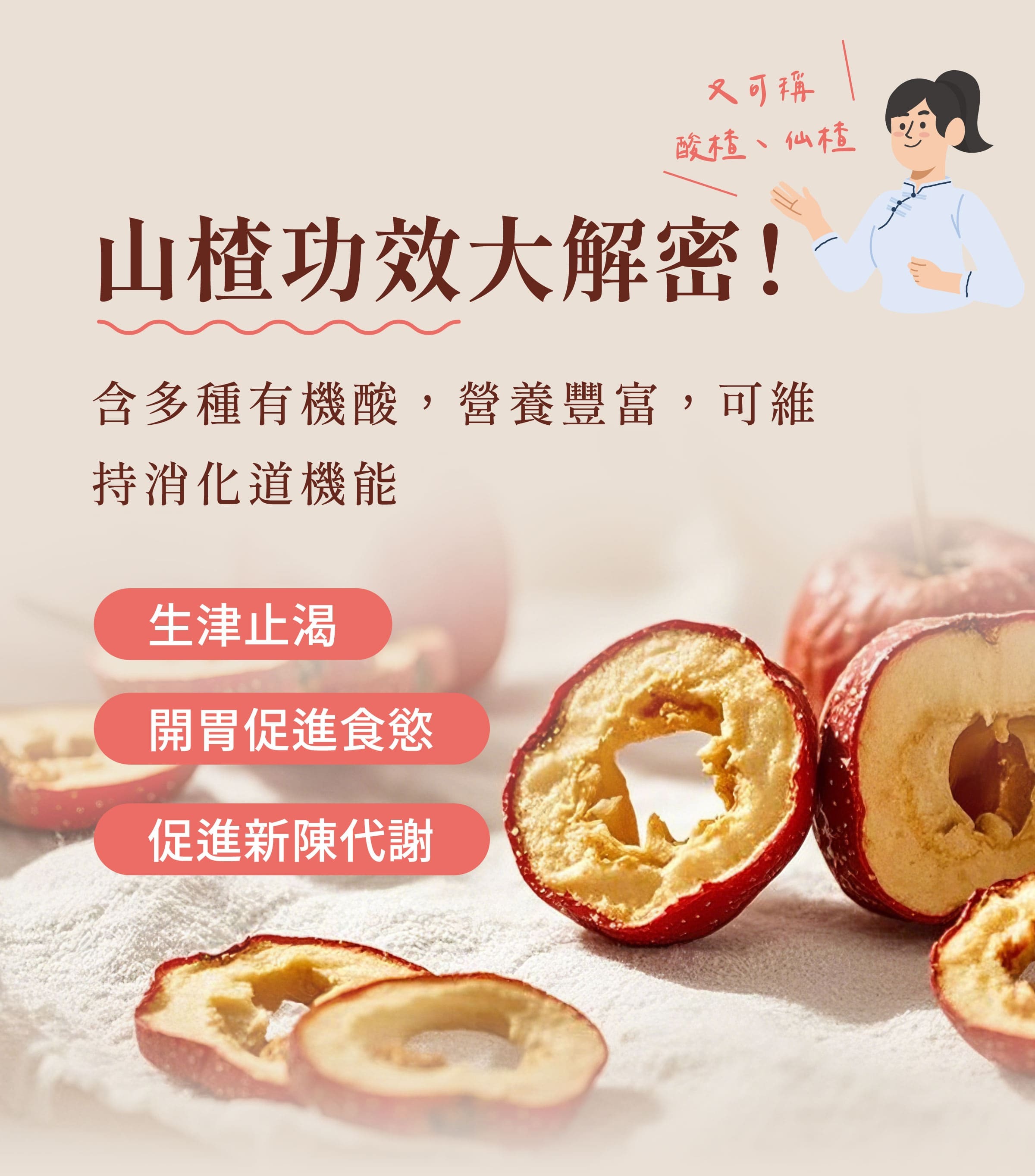 登義仙楂餅(梅花)原料山楂的功效