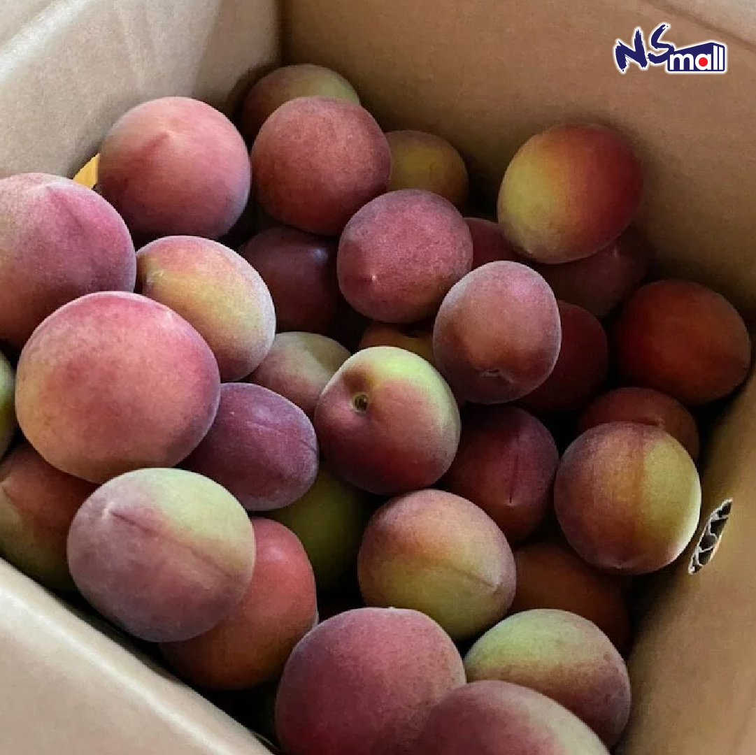 和歌山紫南高梅 5kg/箱