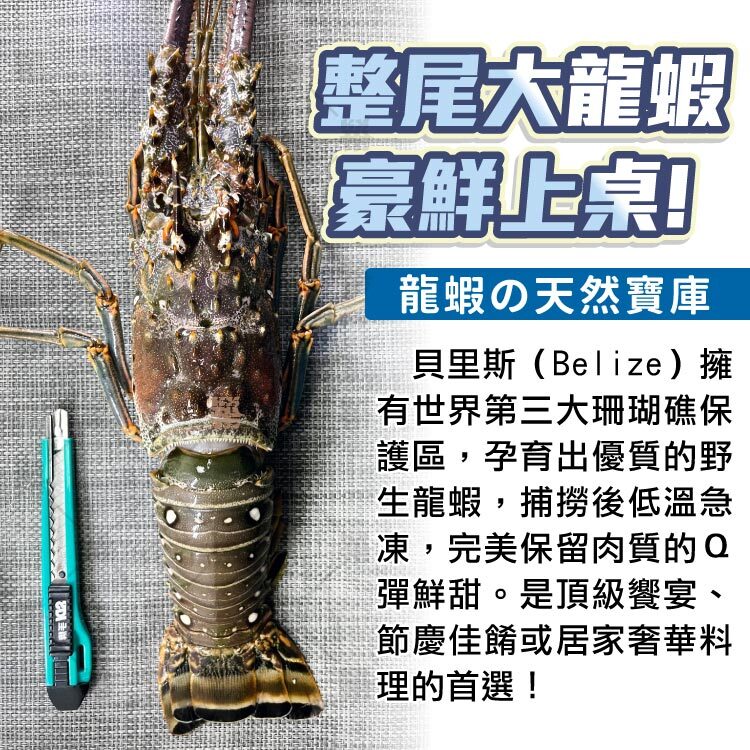 整尾龍蝦急速冷凍處理，新鮮度媲美現撈，節慶佳餚首選