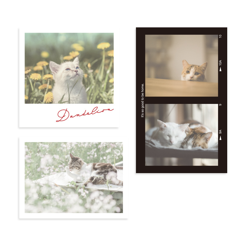 手機裝飾貼紙/3入