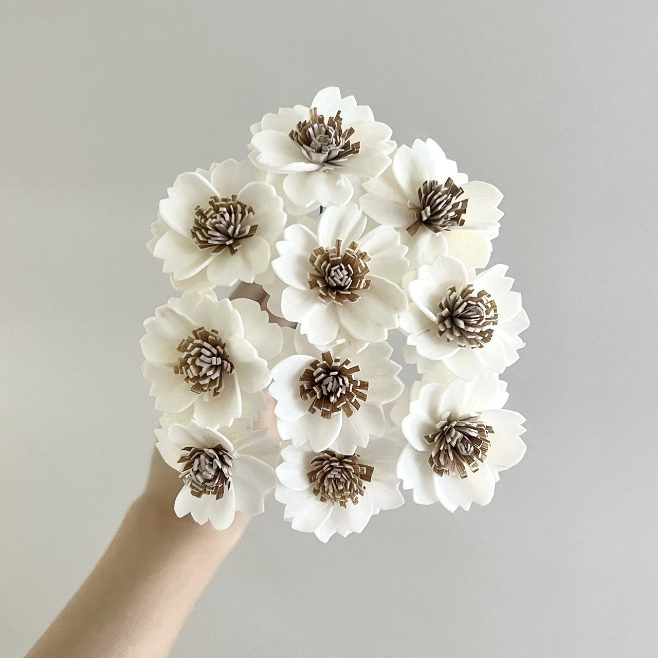 泰國索拉 櫻花(咖啡心) 4CM <十支一把> (高品質)