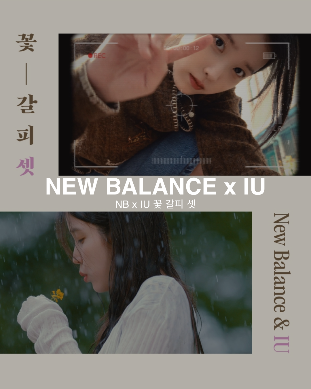 【預購】NEW BALANCE x IU 限量聯名款 杜鵑花 短T