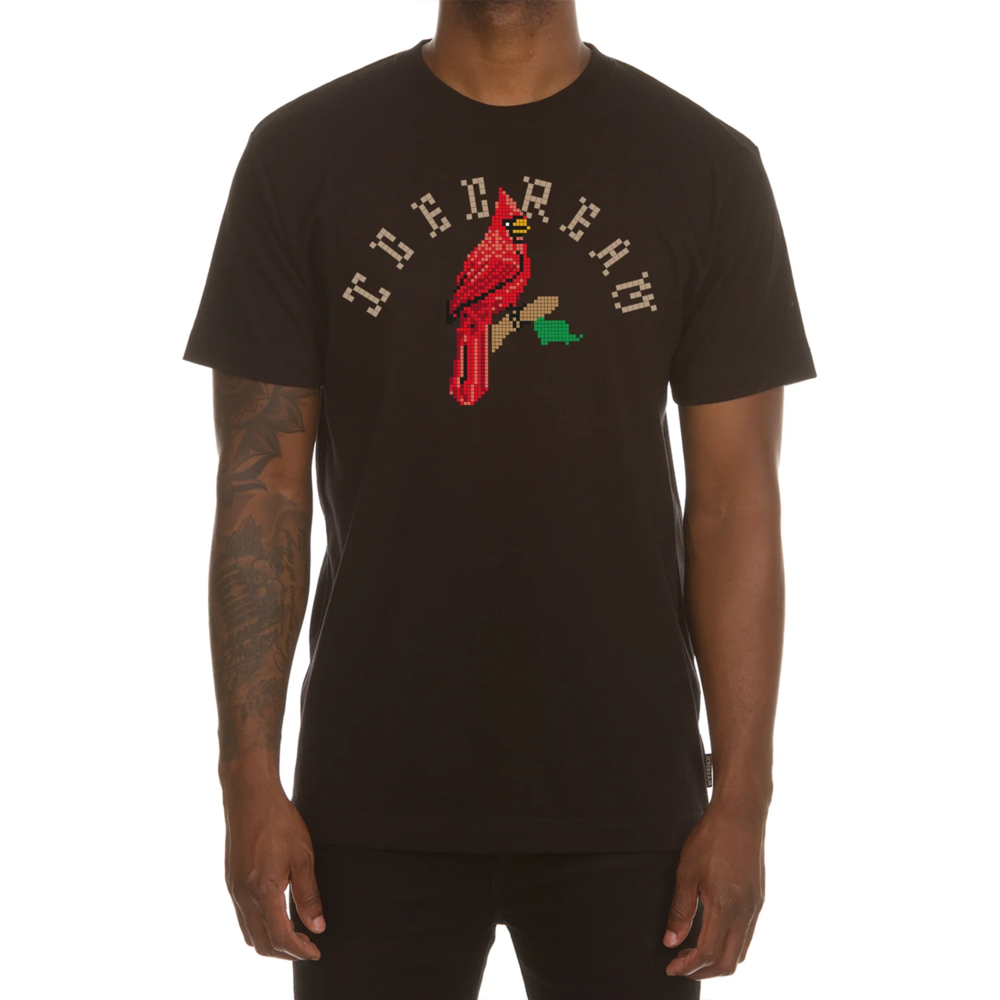 CARDINAL SS TEE