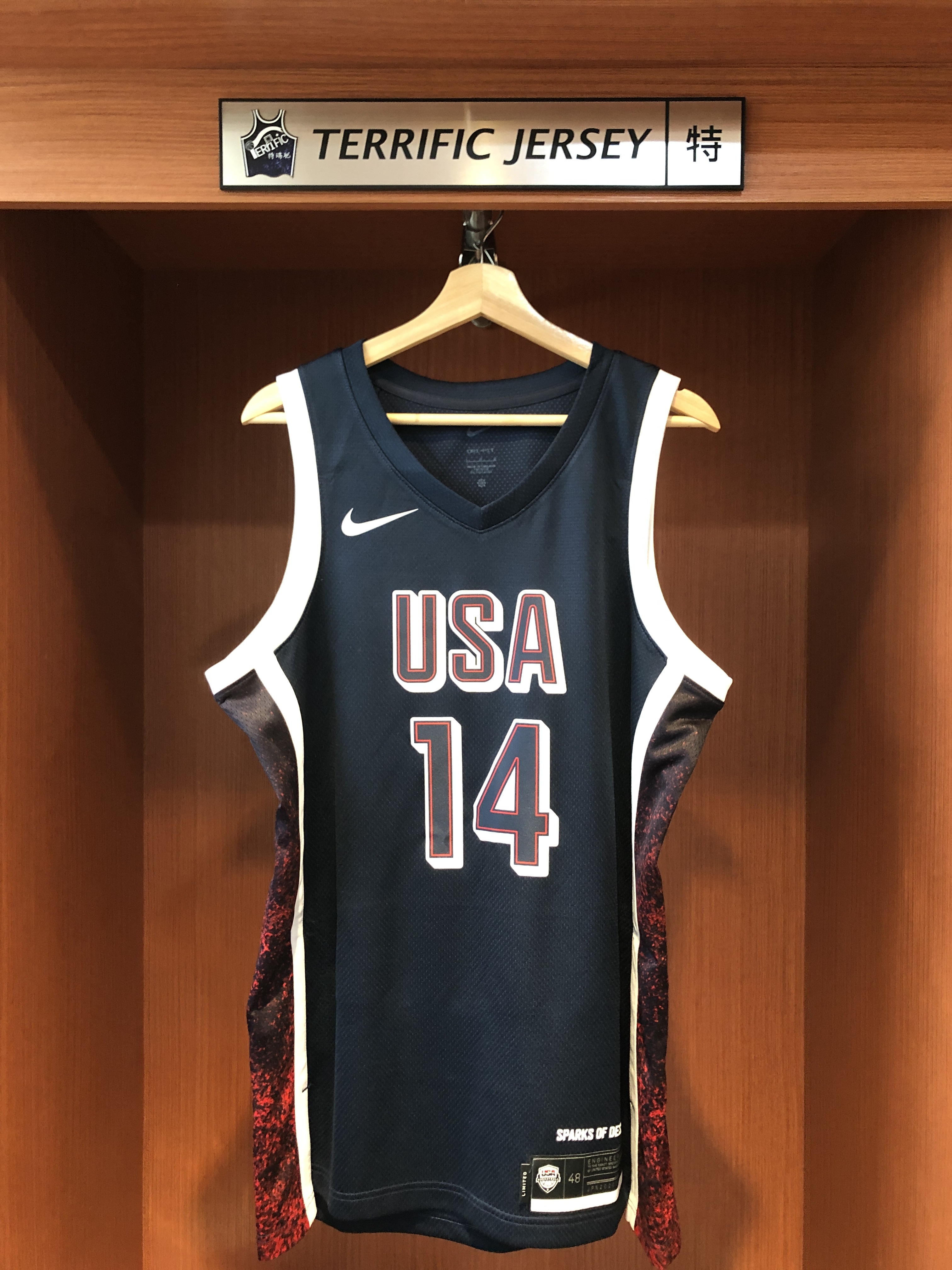 NBA球衣 Anthony Davis 巴黎奧運 美國隊 深藍 Nike Swingman 球迷版 熱轉印 全新