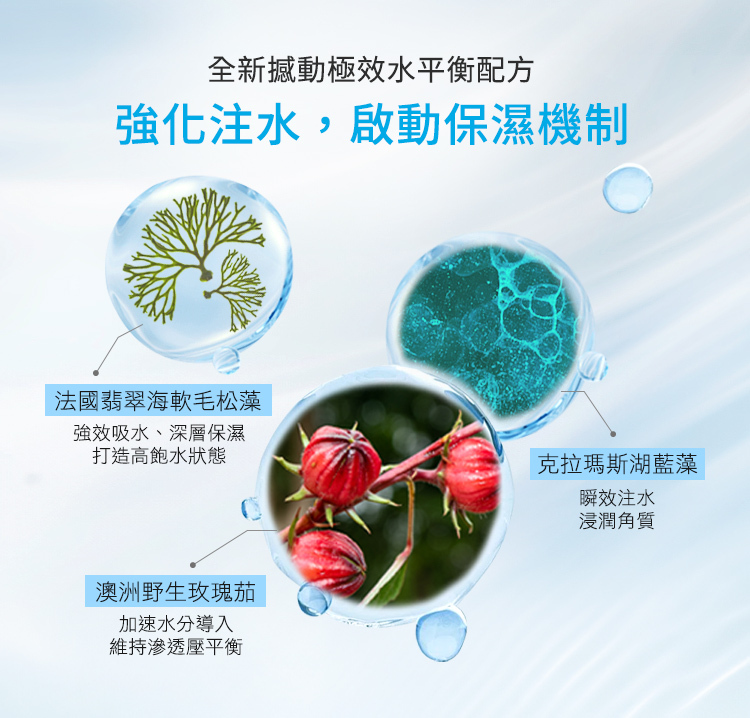 全新撼動極效水平衡配方,強化注水,啟動保濕機制,法國翡翠海軟毛淞藻:強效吸水、深層保濕打造高飽水狀態、澳洲野生玫瑰茄:加速水分導入維持滲透壓平衡、克拉瑪斯湖藍藻:順效注水浸潤角質。
