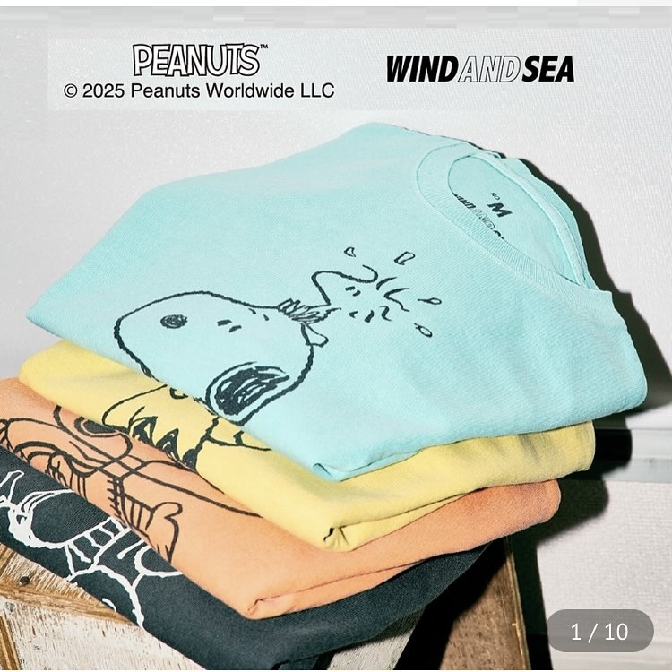 WIND AND SEA × SMOOTHY PGT SNOOPY TEE S/S - PRE ORDER ITEM (預訂中)