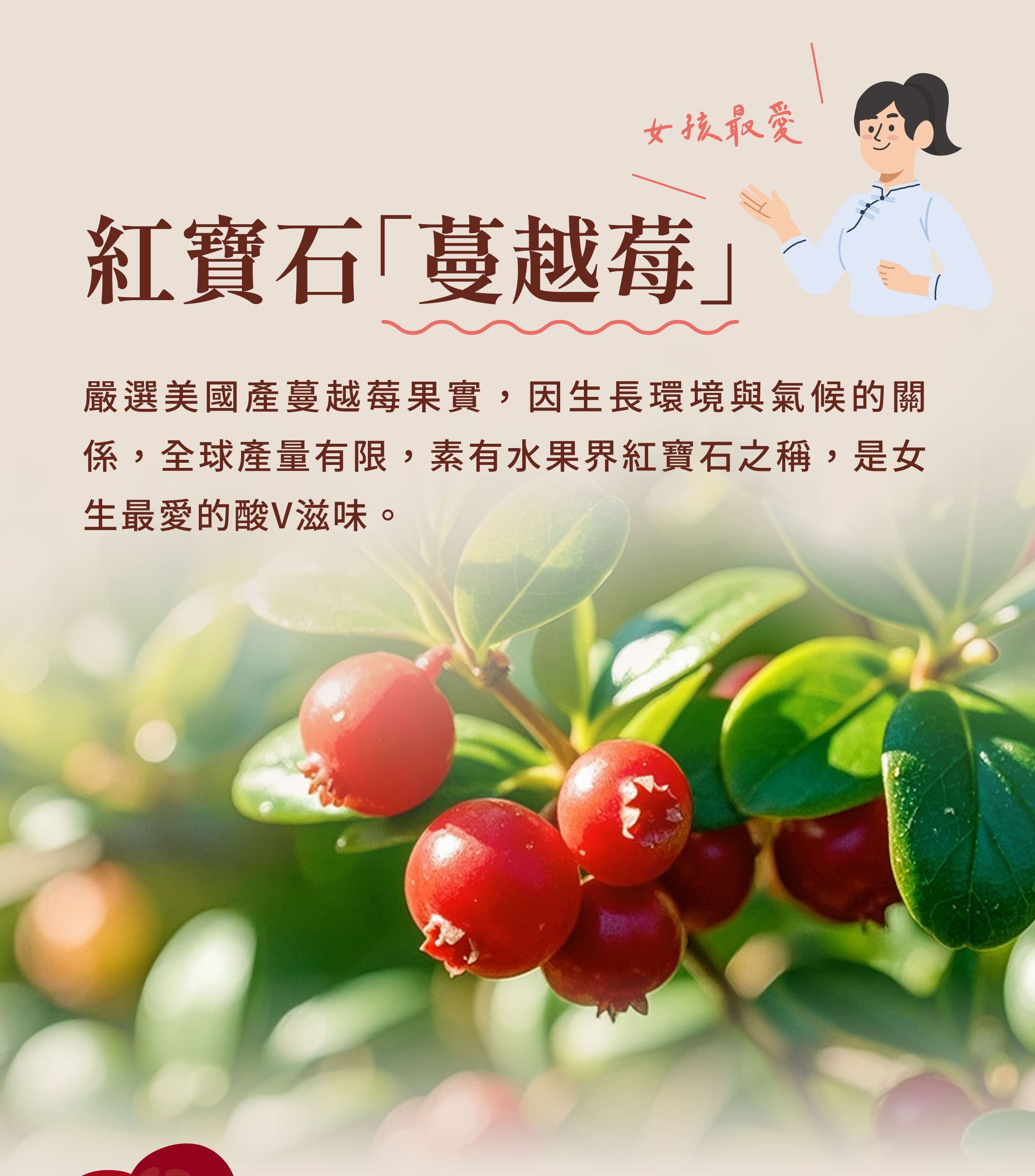 蔓越莓原料介紹
