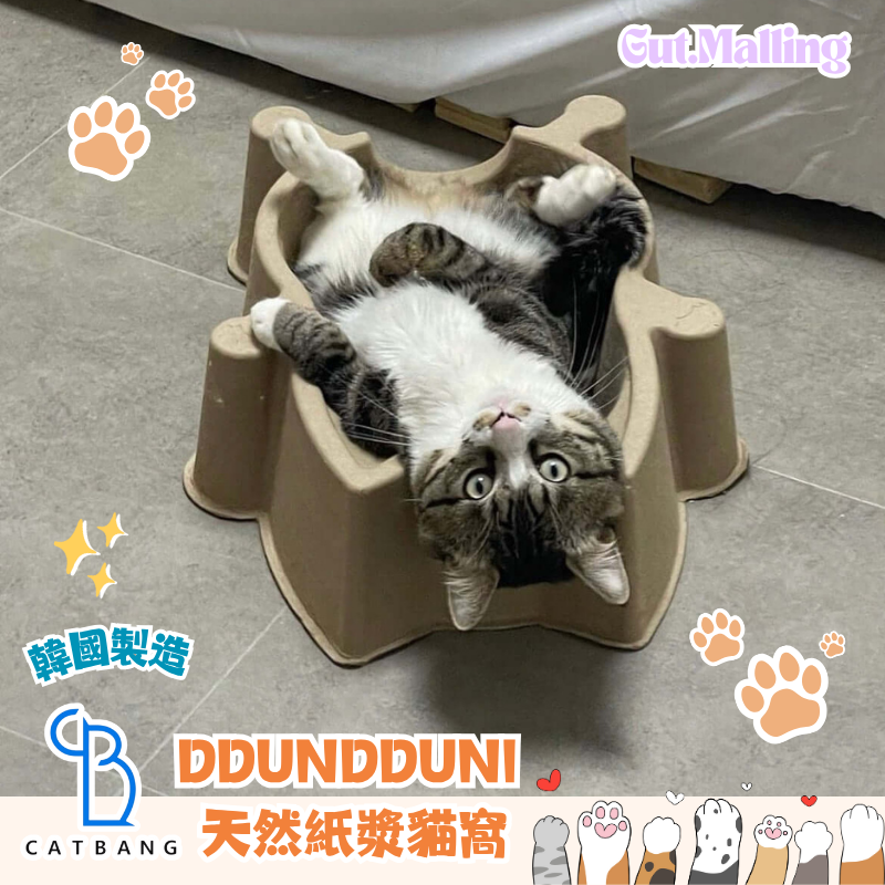 韓國 CAT BANG DDUNDDUNI 天然紙漿貓窩