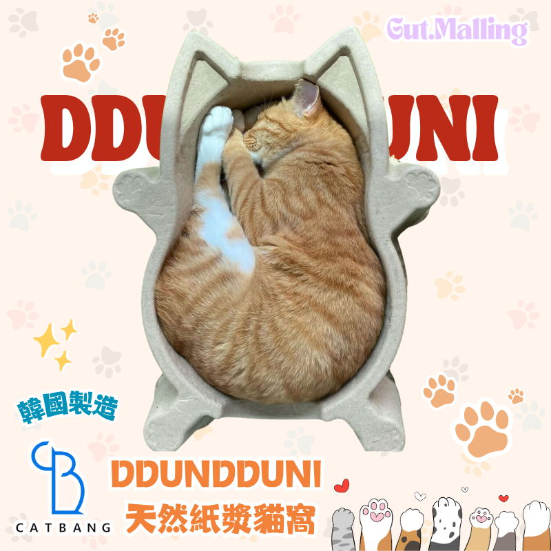 韓國 CAT BANG DDUNDDUNI 天然紙漿貓窩