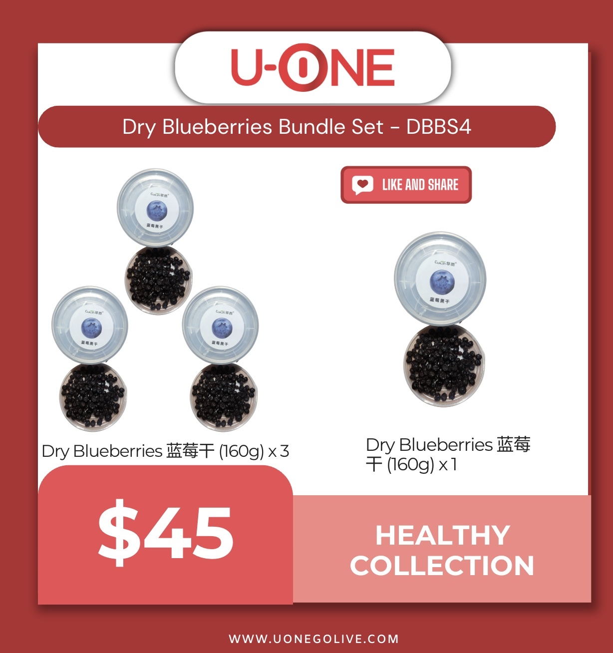 Dry Blueberries Bundle Set - DBBS4