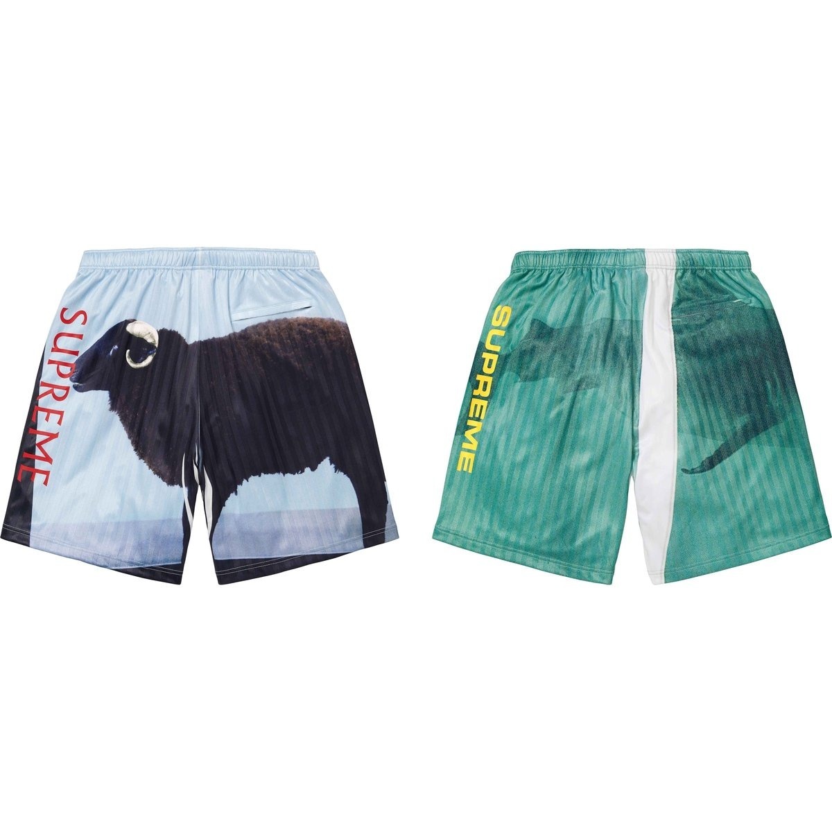 2025SS Supreme Damien Hirst Soccer Short 藝術家 足球衫 球褲 短褲 現貨