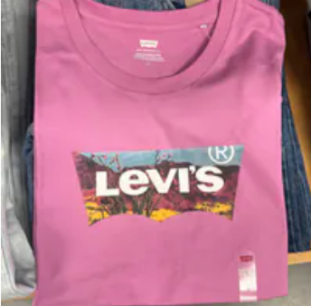 [S] LEVIS PINK THE PERFECT GRAPHIC TSHIRT, 173693008-PINK (SLE17)