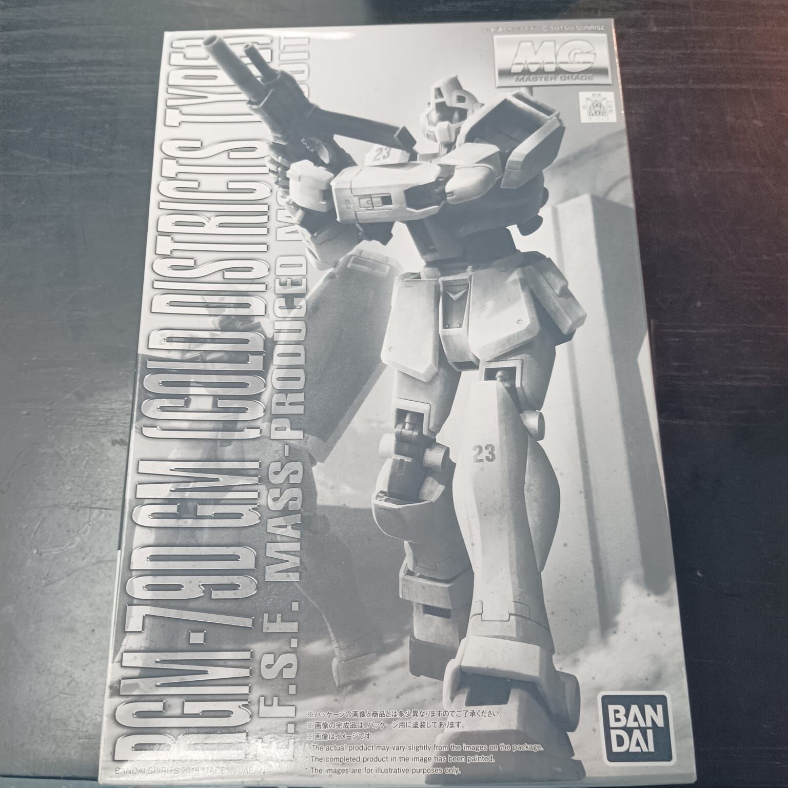 GUNDAM-MG 1/100 GM (COLD DISTRICTS TYPE)