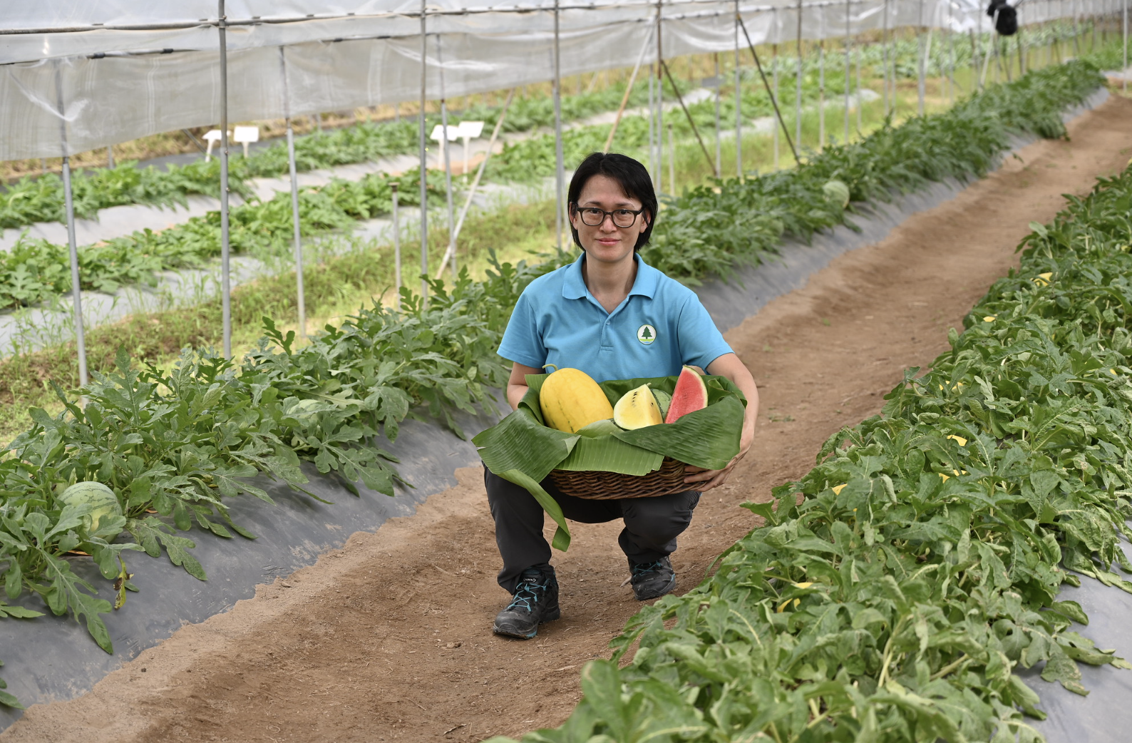 漁護署農業主任（園藝）王敏維