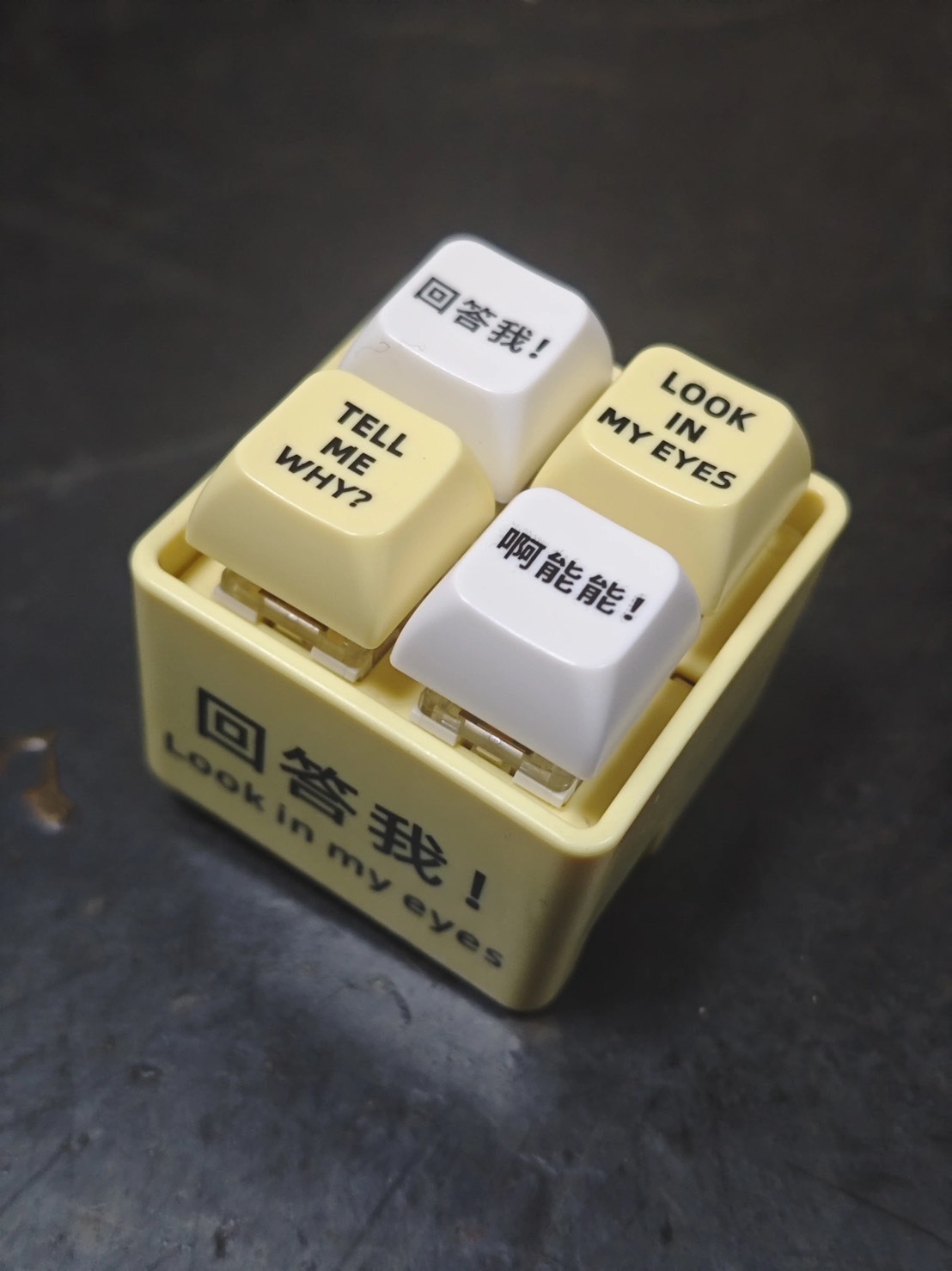 回答我！Look in my eyes! Tell me why baby why?語音鑰匙扣