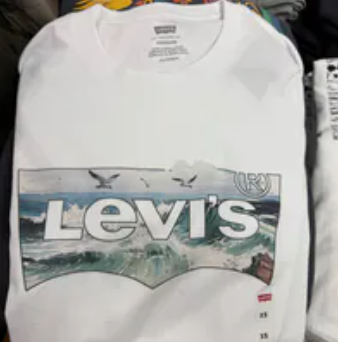 [S] LEVIS WHITE CLASSIC GRAPHIC TSHIRT, 224911808-WHITE (SLE39)