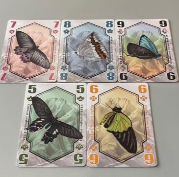 蝴蝶王國 Butterfly Kingdom 繁體中文說明書