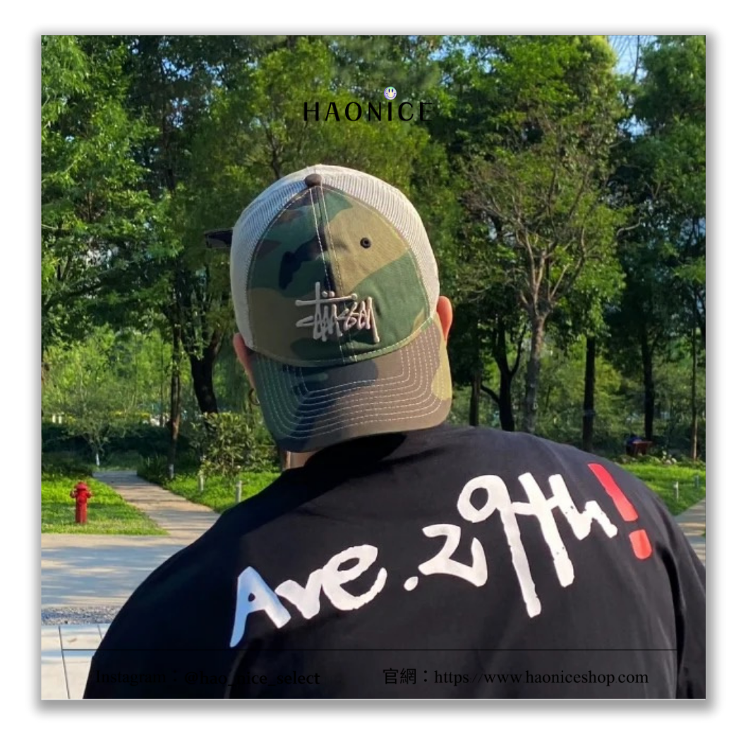 【HAO NICE】100%正品 STUSSY 美國潮牌🇺🇸立體刺繡LOGO鴨舌網帽 帽子