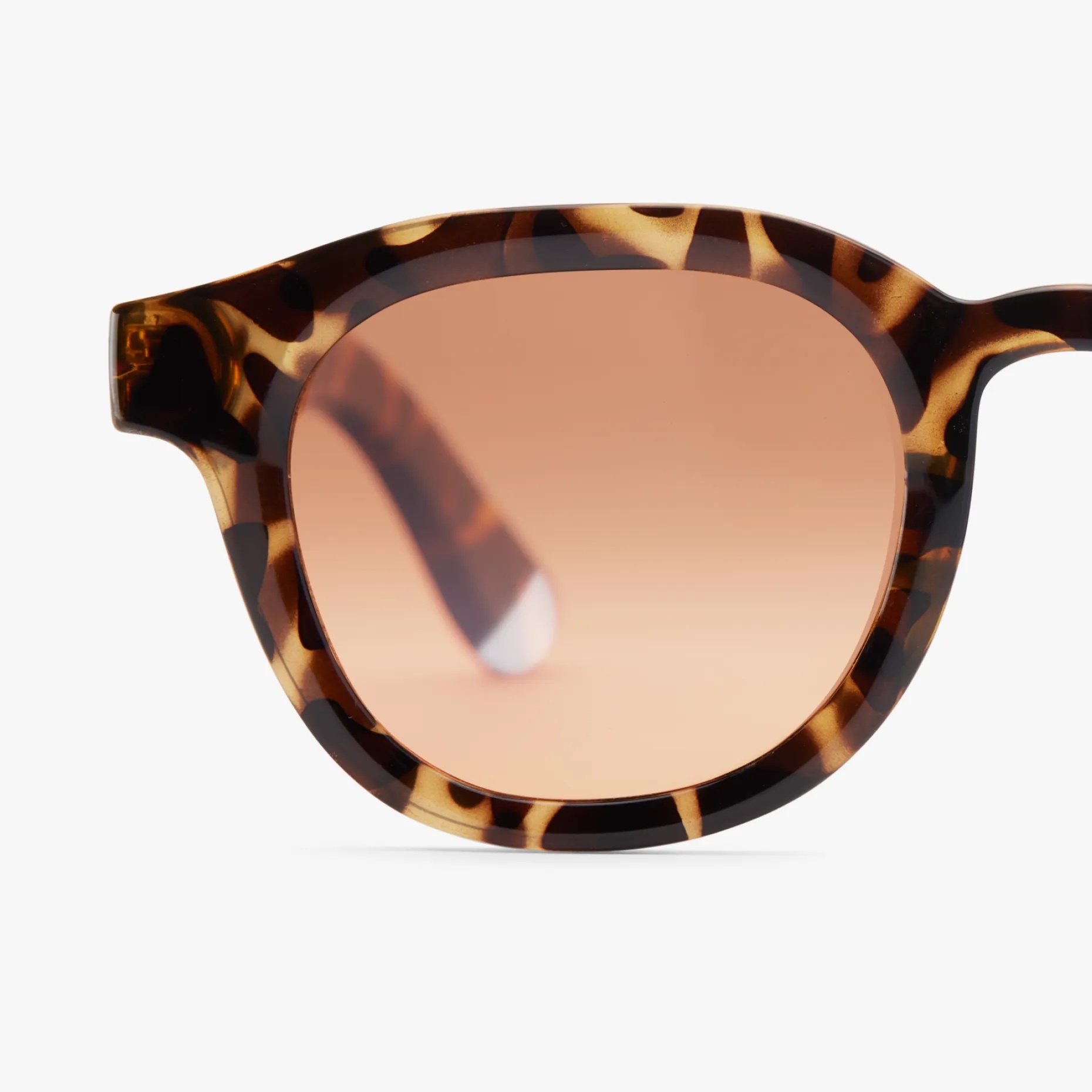 BARNER | Andy Glossy - Tortoise Sunglasses