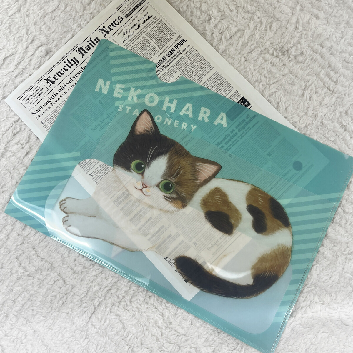 戴帽貓 貓咪 A4 資料夾 L夾｜日本 Gakken