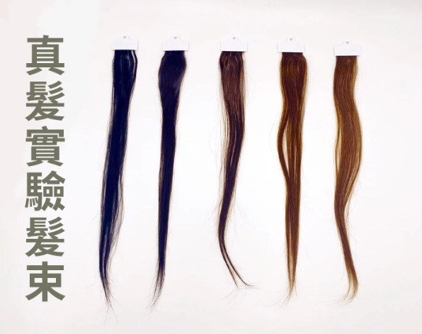 真髮實驗髮片髮束