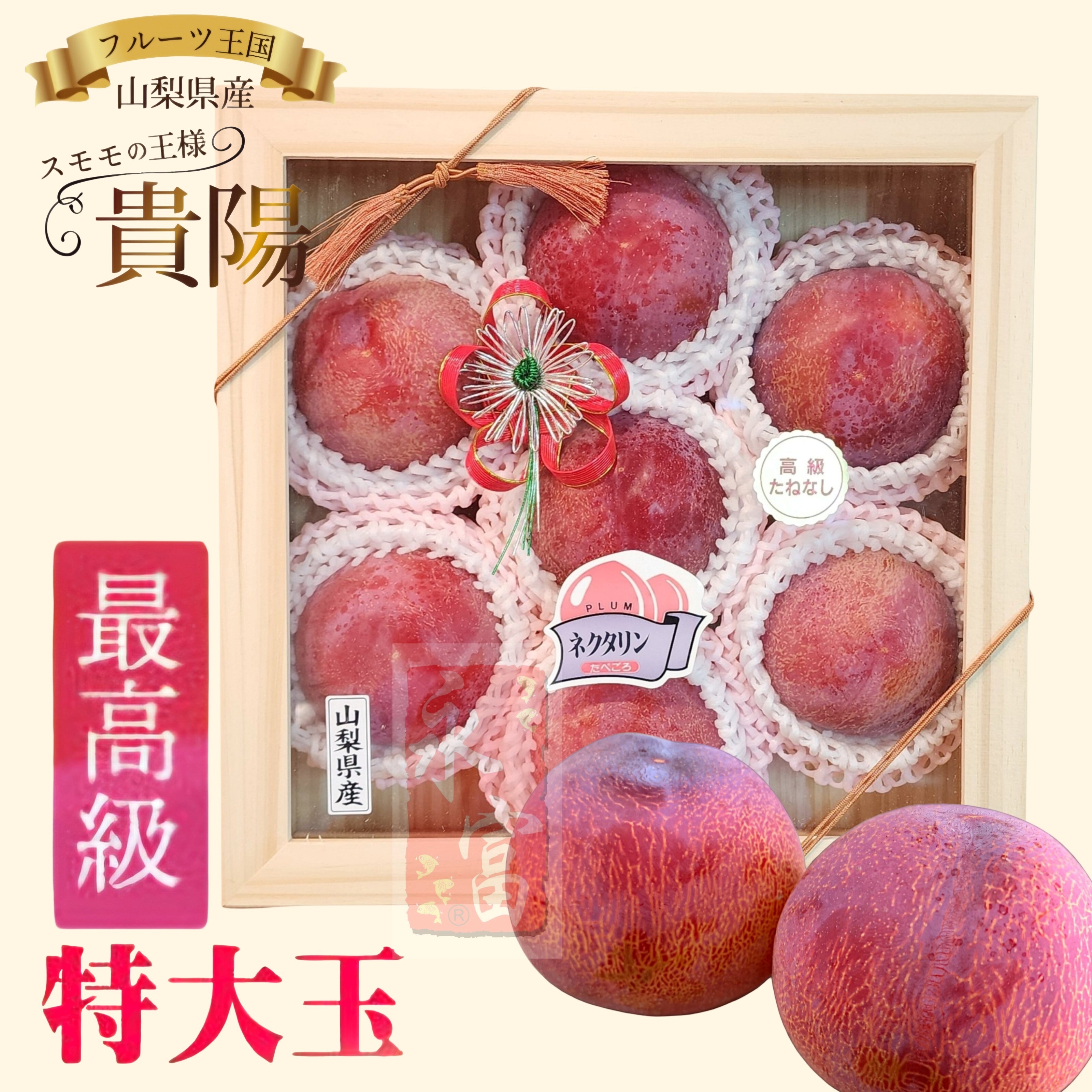 日本山梨縣貴陽布冧(6個)
