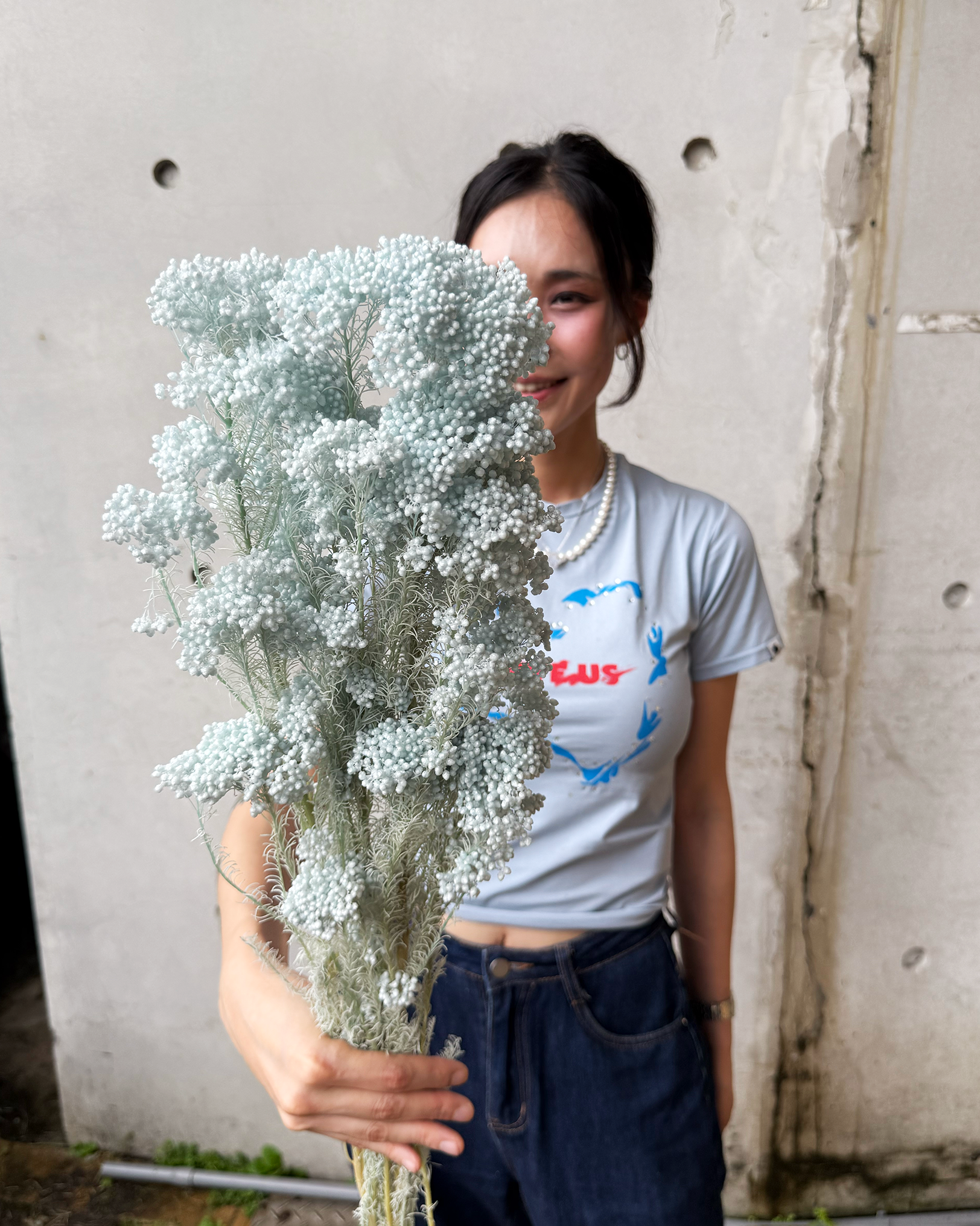 永生漂色米香花