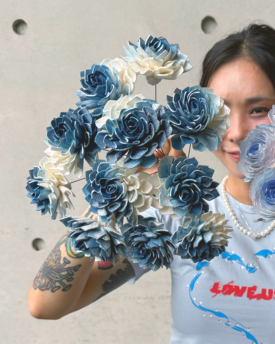 乾燥大理花索拉