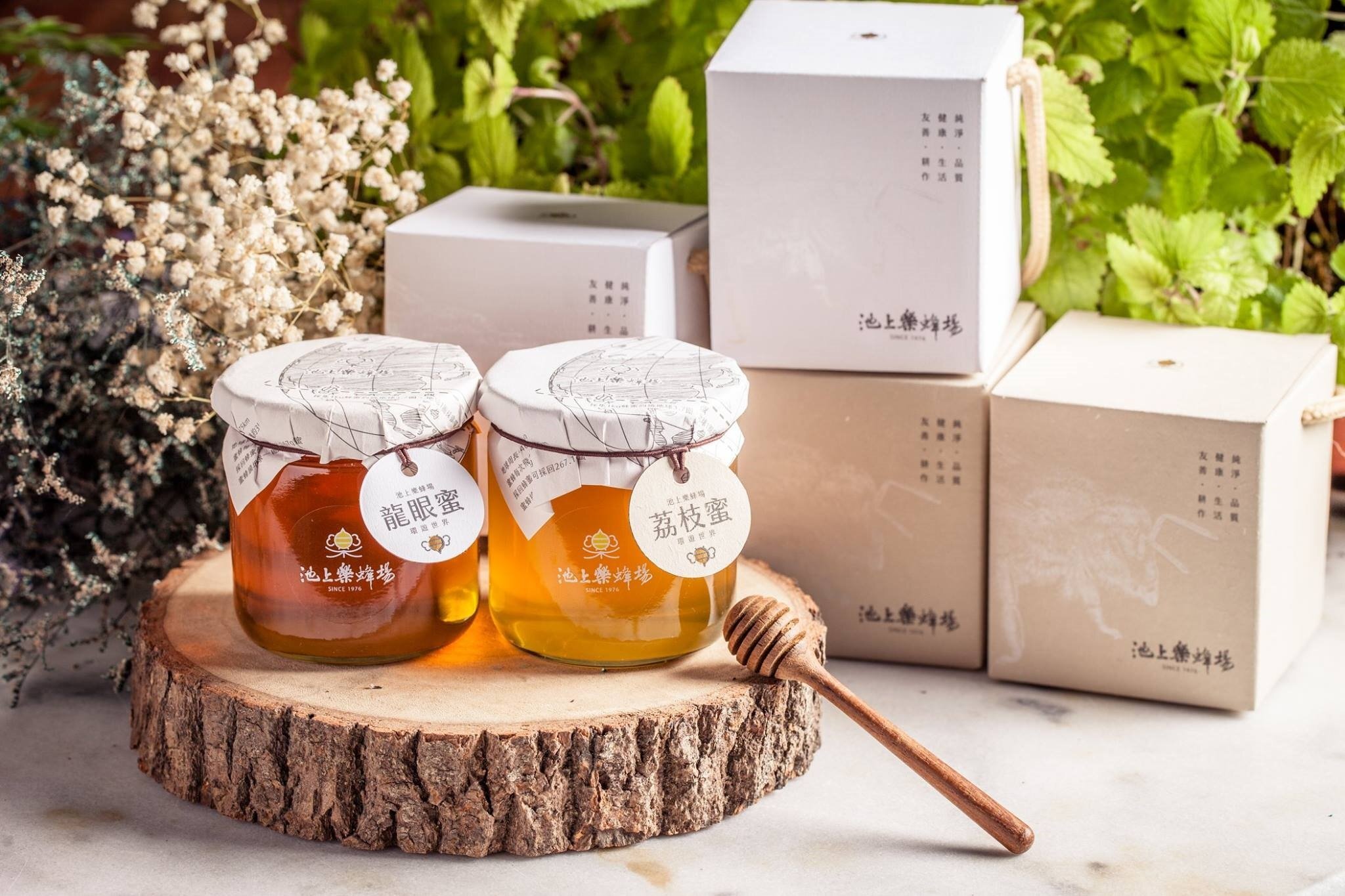 台東院｜池上樂蜂場-環遊世界(荔枝蜂蜜)